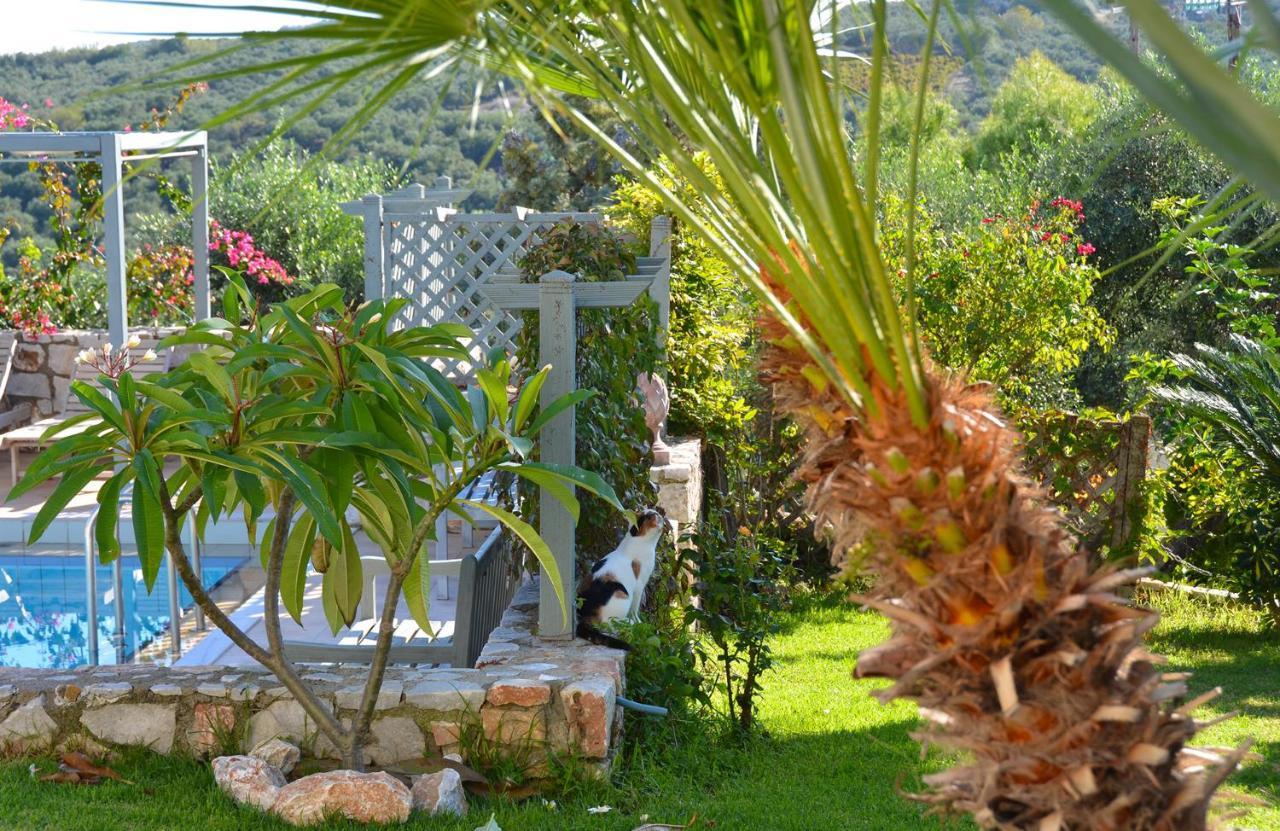 West Crete Chania - Villa Europa Darmarochori Экстерьер фото